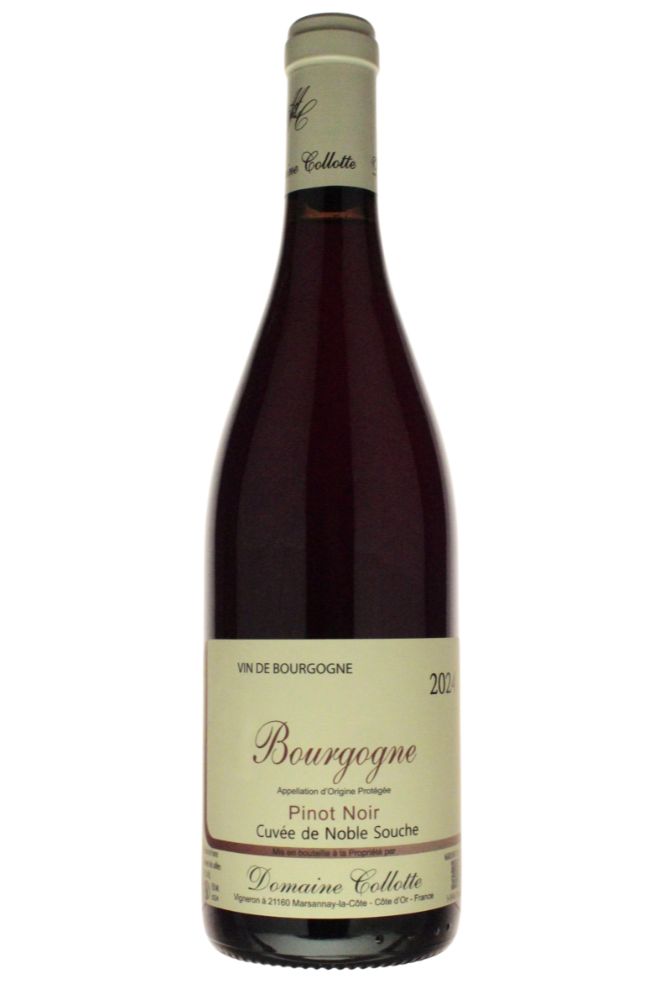BOURGOGNE ROUGE CUVEE DE NOBLE SOUCHE 2024　＜赤＞