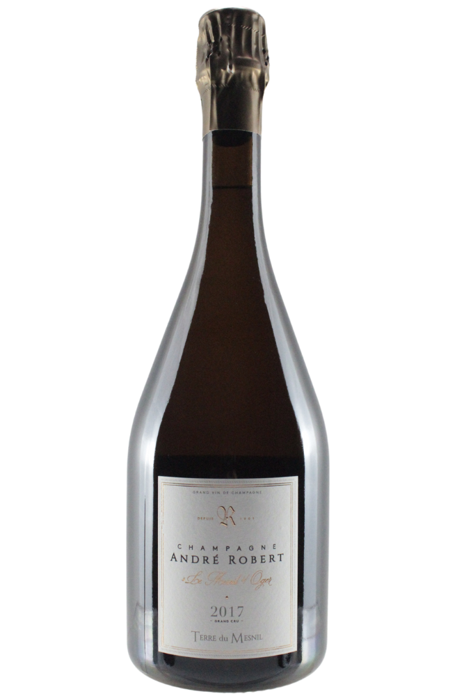 TERRE DU MESNIL EXTRA BRUT 2018　＜白・泡＞