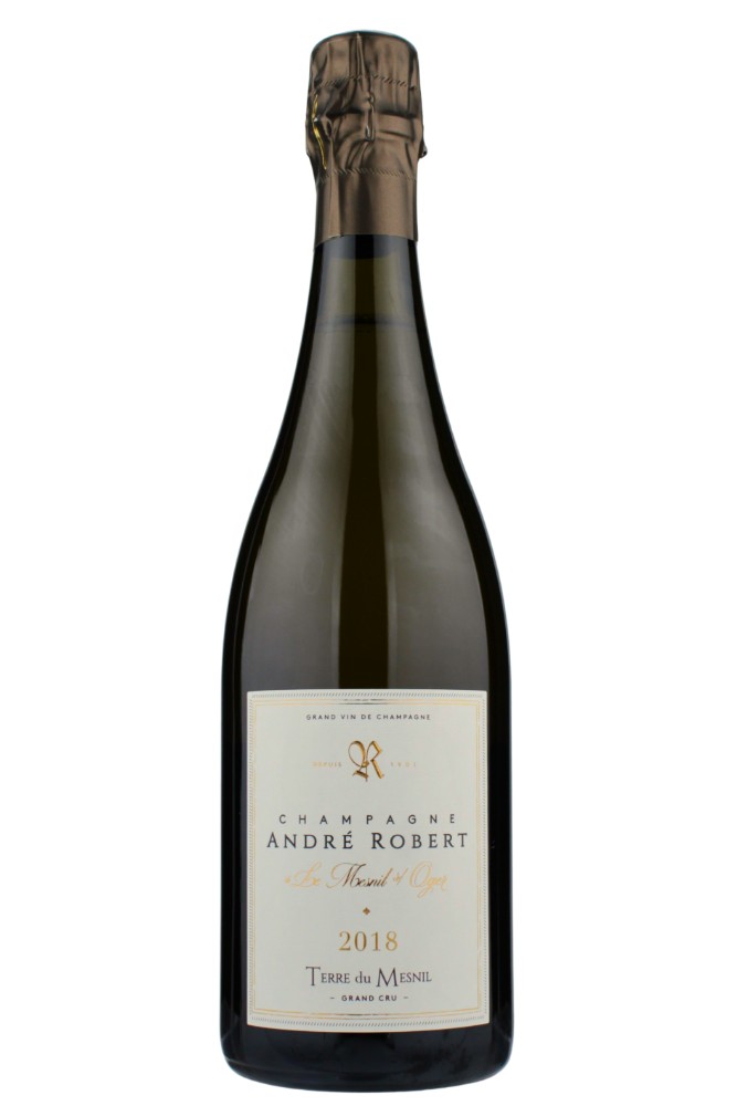 TERRE DU MESNIL EXTRA BRUT 2018　＜白・泡＞