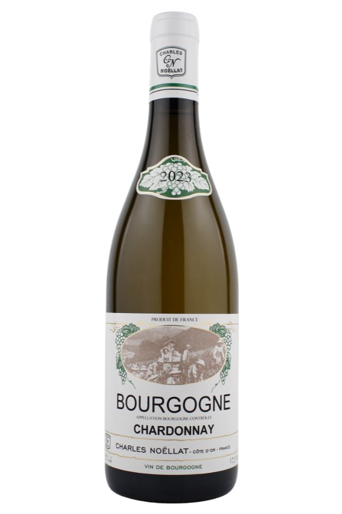 BOURGOGNE CHARDONNAY 2023　＜白＞