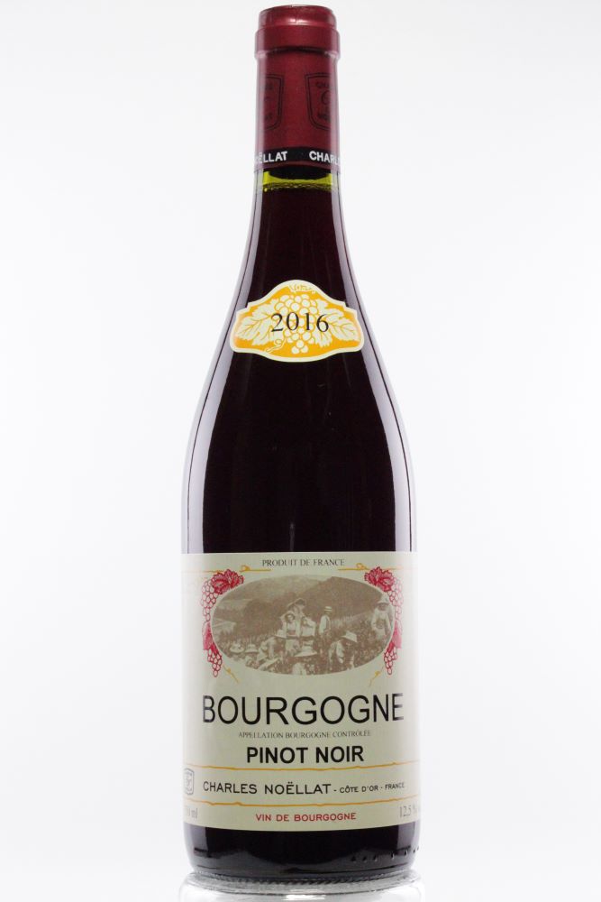 BOURGOGNE PINOT NOIR 2021　＜赤＞