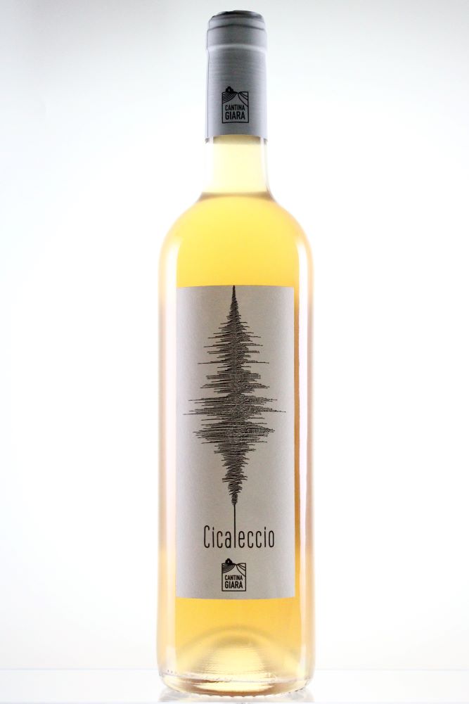 CICALECCIO 2024　＜白＞