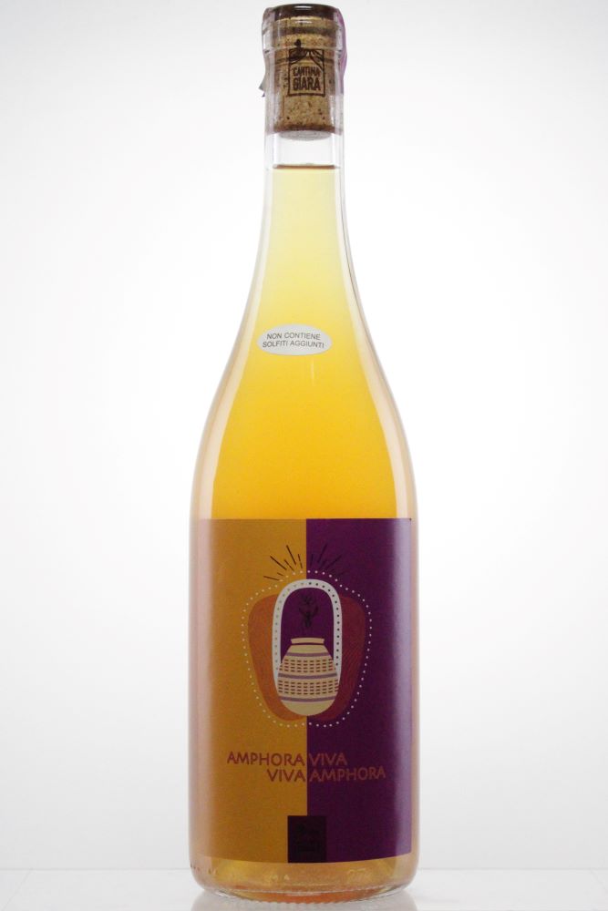 AMPHORA VIVA 2024　＜白＞