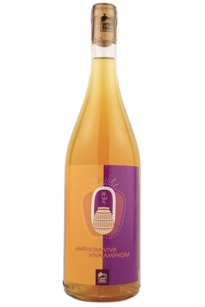 AMPHORA VIVA 2024　＜白＞