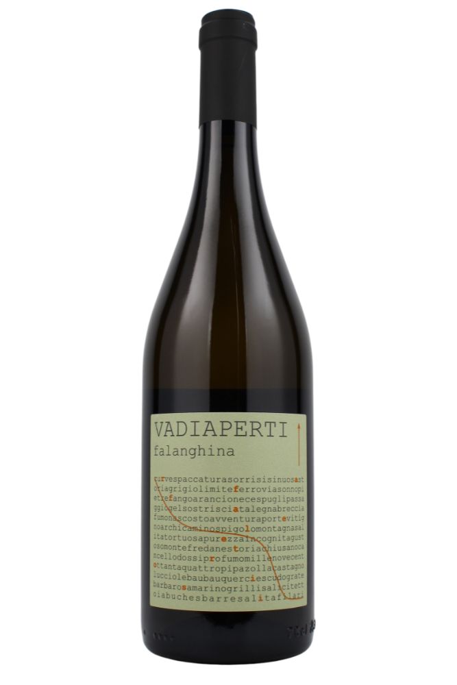 FALANGHINA 2024　＜白＞　●