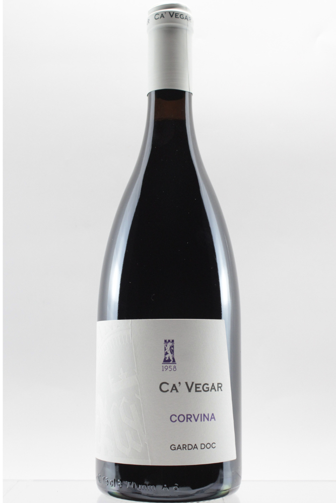 CORVINA CA’VEGAR 2023　＜赤＞