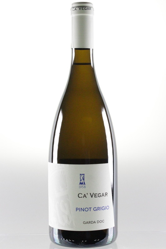 PINOT GRIGIO CA’VEGAR 2025　＜白＞